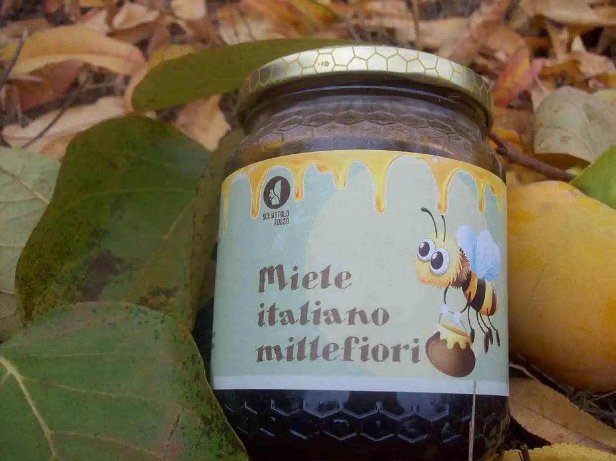 Miele Millefiori scuro | Apicoltura Scoiattolo Rosso 2 miele italiano millefiori dell'azienda agricola scoiattolo rosso vendita nocciole piemonte online