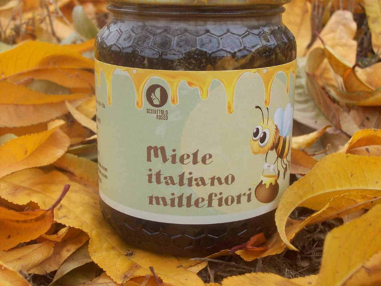miele millefiori scuro prodotti in Piemonte da apicoltura Scoiattolo Rosso
