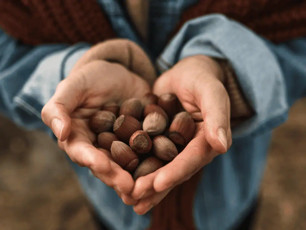 Tutti i benefici delle nocciole per la pelle e i capelli.