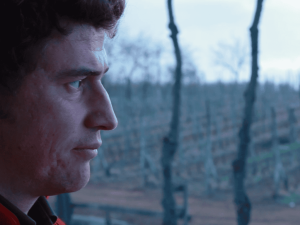 Azienda agricola familiare Scoiattolo Rosso: perché sceglierci.